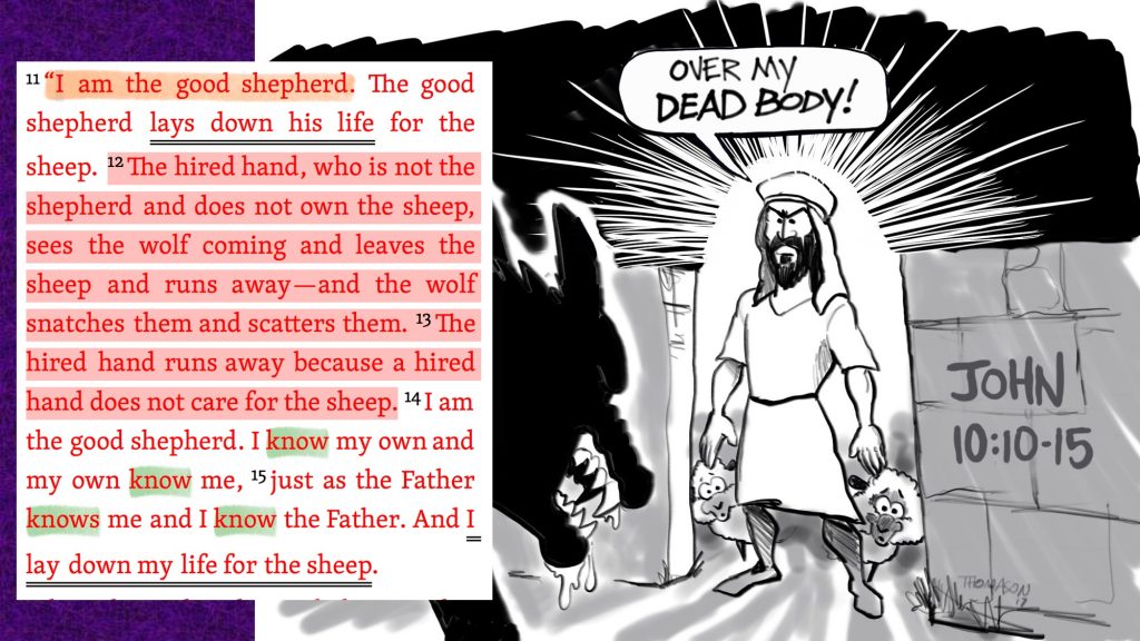 The Good Shepherd in the Gate